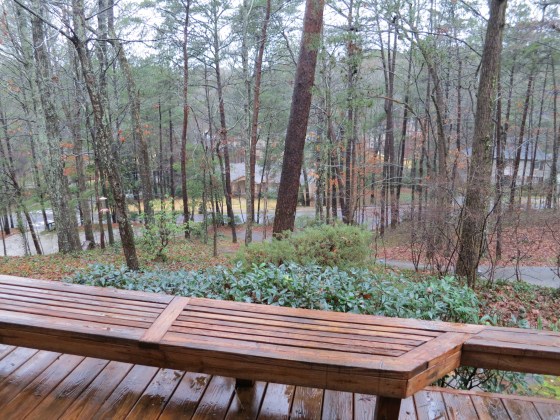 The kind of day to stay home and make soup...