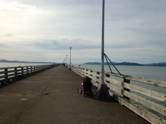 my favorite running spot in Berkeley