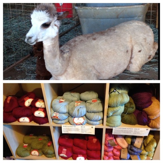 Image 10-28-15 at 11.43 AM